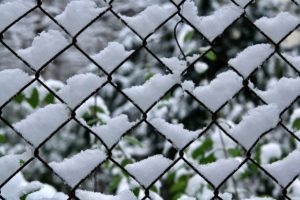 welded mesh